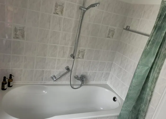 Dschungel-apartment Steubenstr 13 Kassel